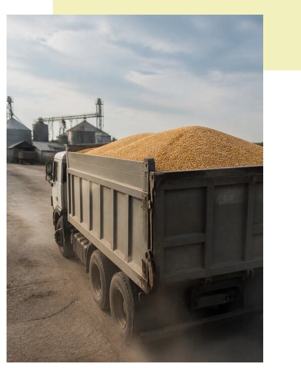 Перевозка сельхозпродукции навалом в Волжский по цене от 3039 р. | Агросервис-Влж