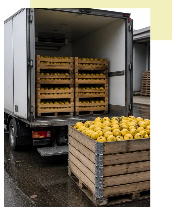 Перевозка айвы рефрижератором в Волжский по цене от 5065 р. | Агросервис-Влж